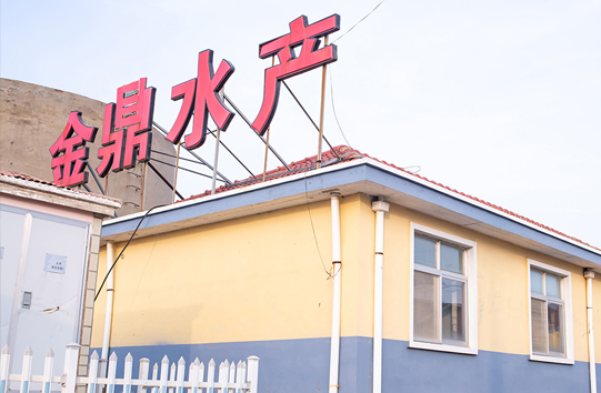 公司簡介(圖1)